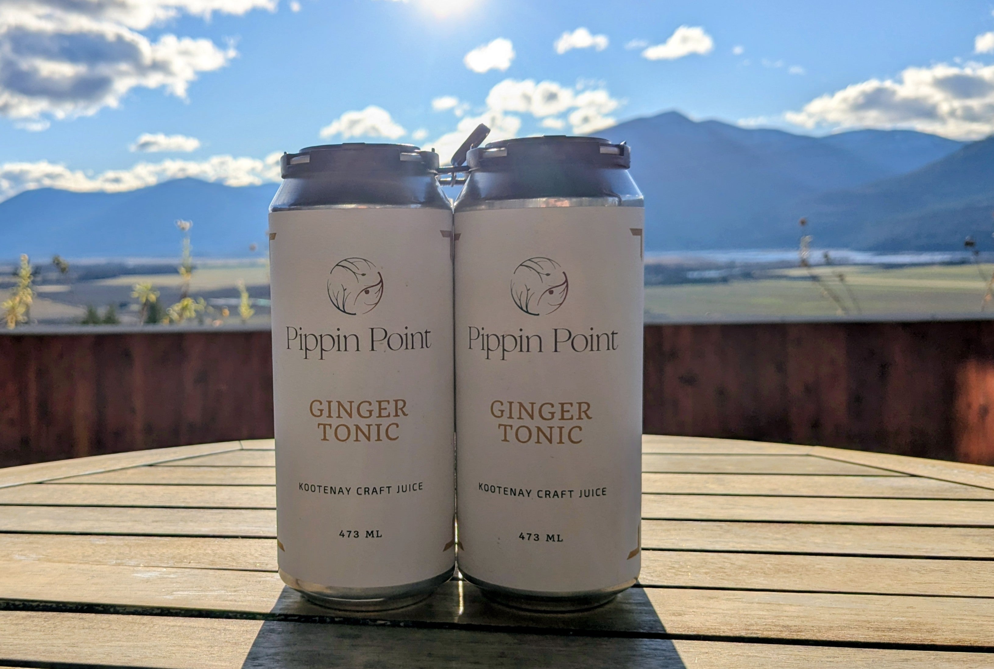 Ginger Tonic Juice