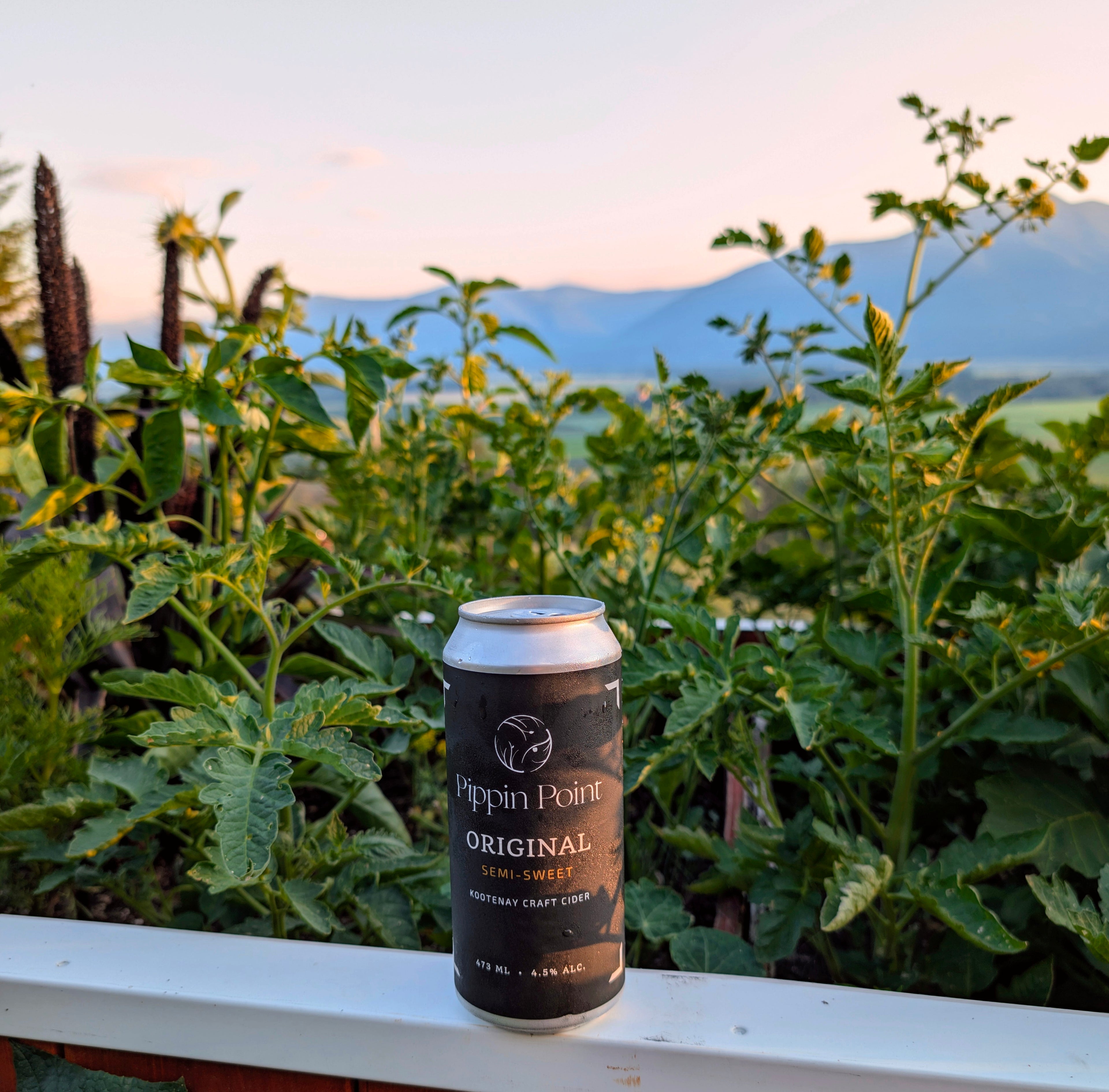 Original Apple Cider