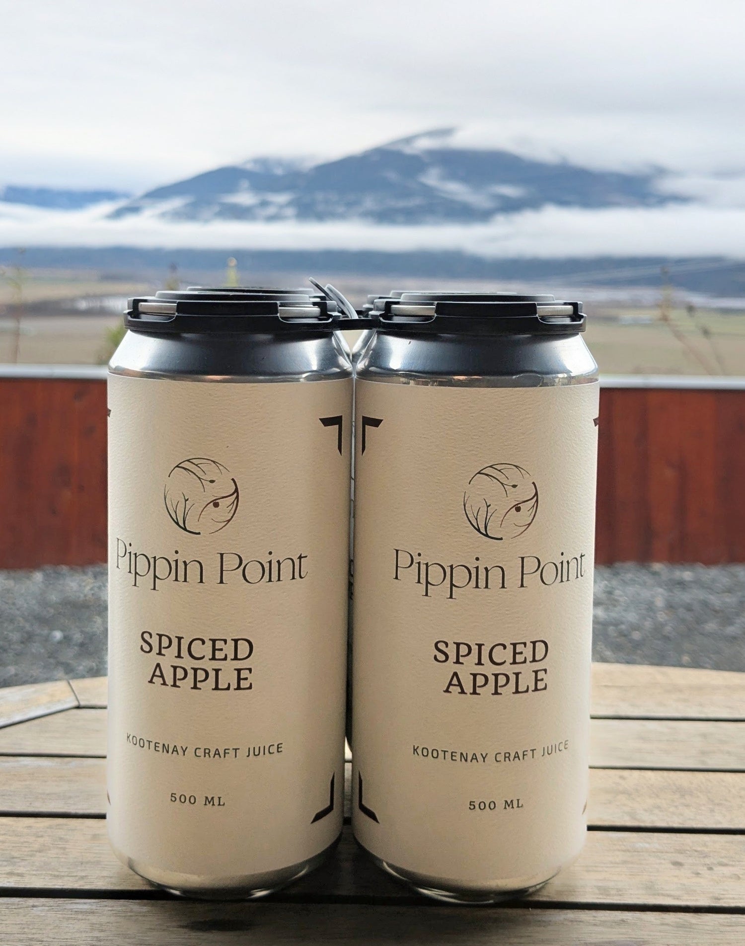 Spiced Apple Cider Juice (0%)