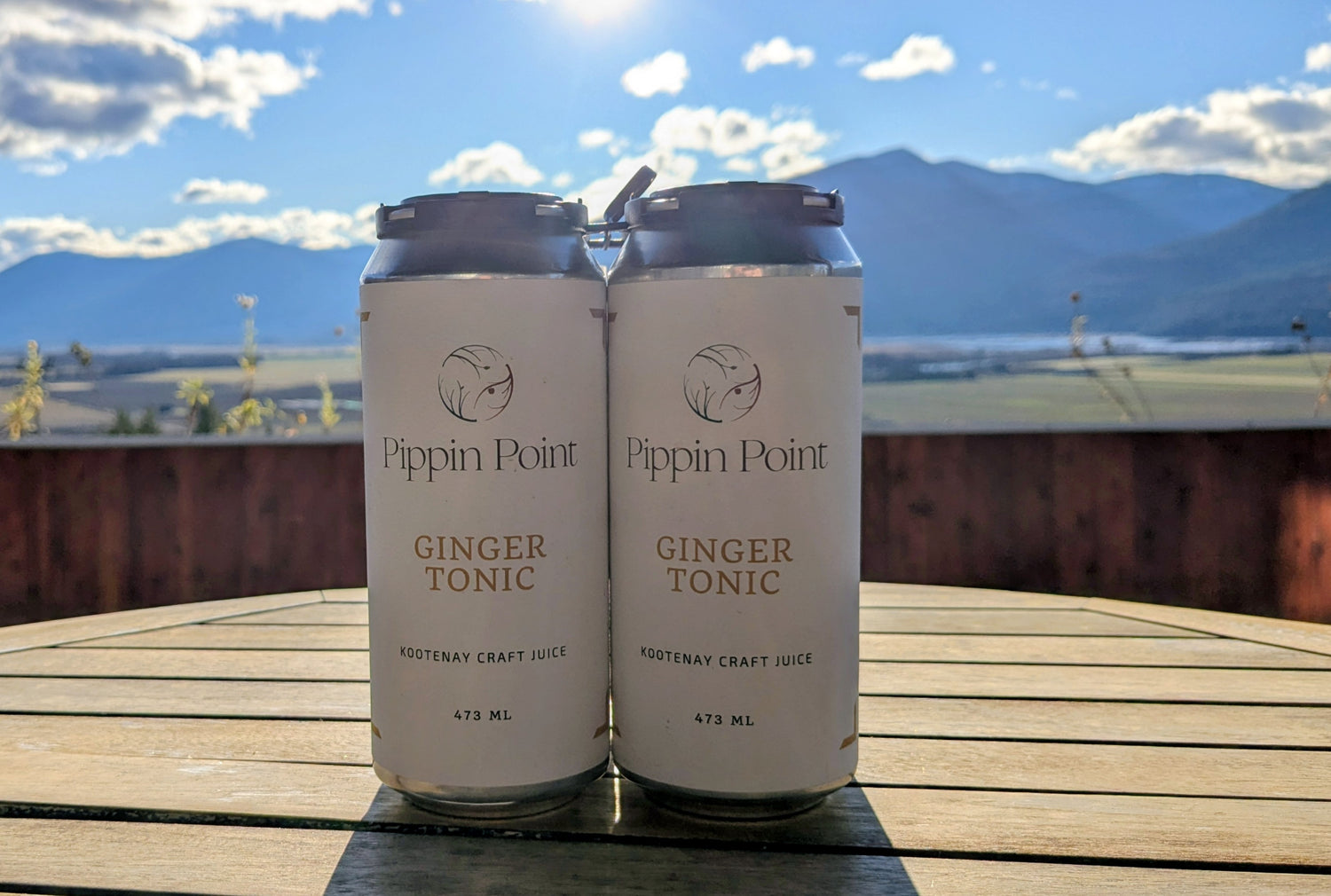 Ginger Tonic Juice